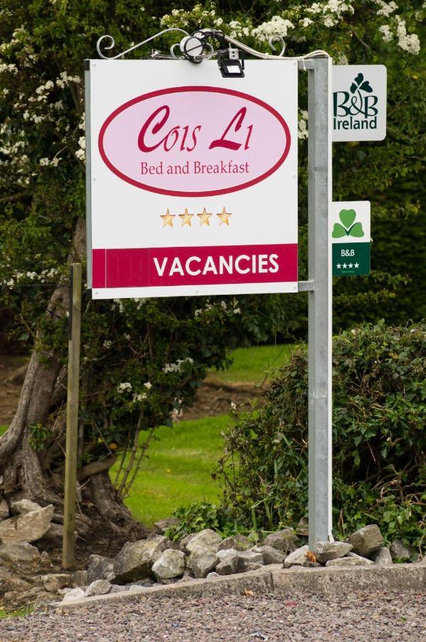 Cois Li B&B Tralee Dış mekan fotoğraf